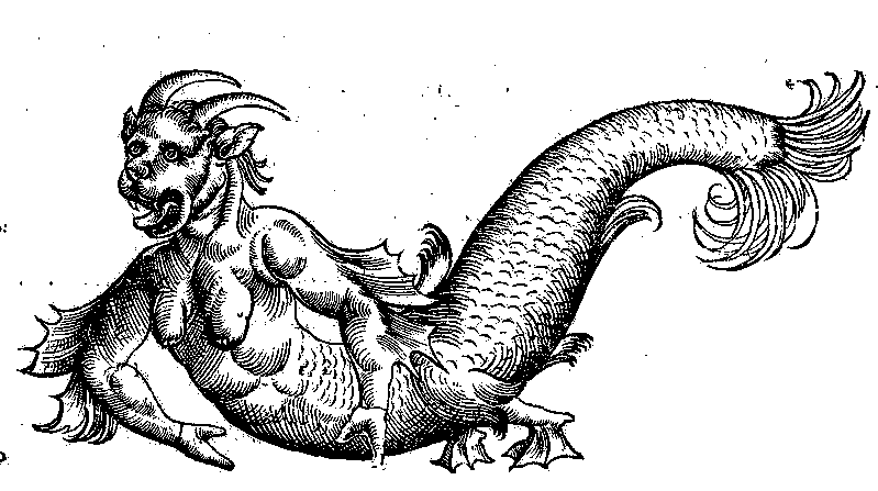 a 17th century illustration of some kind of fish person dog walrus thing