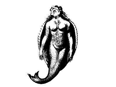 a 17th century illustration of some kind of half-frog-woman