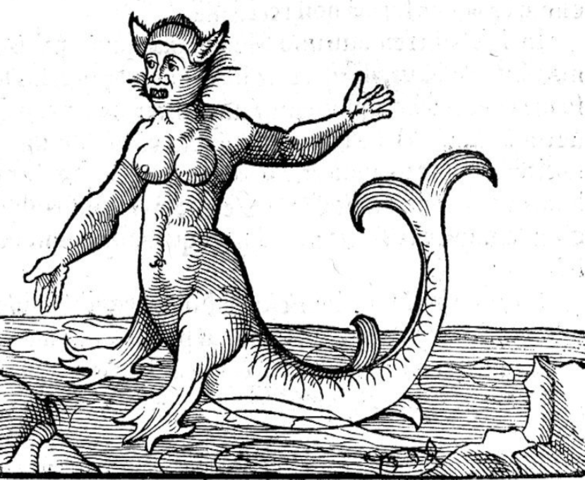 some kinda weird sea creature dude from a 17th century book. he's kinda like a merman with legs midway up his body